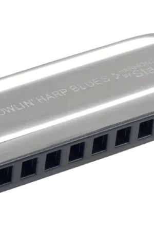 Di Tendenza Stagg armonica diatonica BJH-B20 D